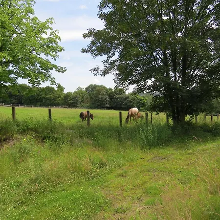 Διαμέρισμα Reiners'alm *