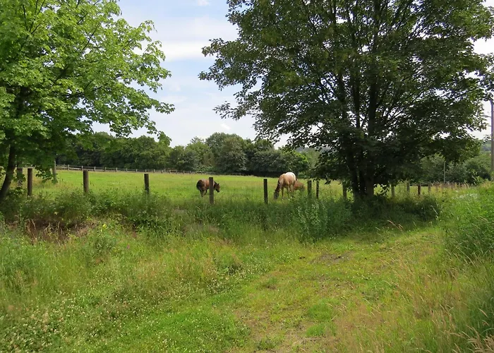 Lejlighed Reiners'alm *